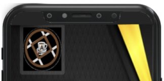 Building Your Online Store with Radeondvc