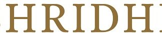 Shridhi Jewels LLP: Redefining B2B Silver Jewellery Wholesale in Kolkata