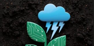 How AgroQubit is Turning Smartphones into Smart Farms Across Rural India