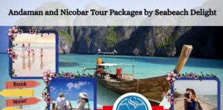 Planning the Perfect Andaman and Nicobar Tour Package – Seabeach Delight