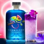 Discover Magical World With ‘Chameleon’ Colour Changing Gin