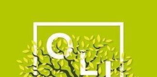 Olive Technohut: Blending Creativity, Technology, and Strategy to Redefine Brand Growth