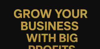 How Quantum Mathematics and Sacred Geometry Are Driving Business Growth in India: Profits, Productivity, and Personal Energy Synchronization