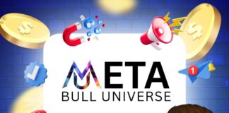 MetaBull Universe – Empowering India’s Youth for a Self-Reliant Digital Future