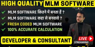 Make My MLM – Leading the Future of Blockchain, Crypto & Network Marketing Software Development