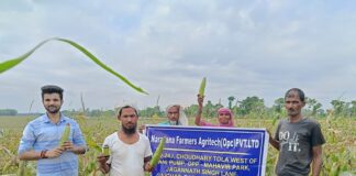 From Soil to Success: The Inspiring Journey of Saurabh Singh