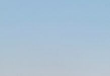 Parashar Guru – Making Vedic Wisdom Relevant for the Modern Seeker