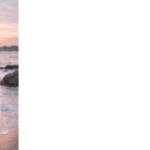 Young Prodigy Gorrumuchu Showry Tapasvi Pujith Honored as POLYMATH by the World Government for Excellence in Research and Counseling