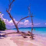 AndamanTravelCare: Port Blair-Based Local Andaman Tour Operator Launches Premium Andaman Tour Packages from Visakhapatnam
