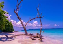 AndamanTravelCare: Port Blair-Based Local Andaman Tour Operator Launches Premium Andaman Tour Packages from Visakhapatnam