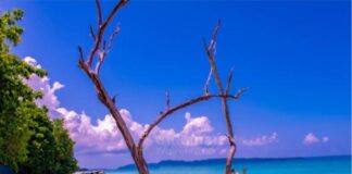 AndamanTravelCare: Port Blair-Based Local Andaman Tour Operator Launches Premium Andaman Tour Packages from Visakhapatnam