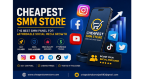 Affordable Digital Growth Systems Continue Supporting Modern Content Creators