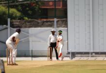 CricVision Launches as a Comprehensive Online Platform to Simplify Cricket Learning for All