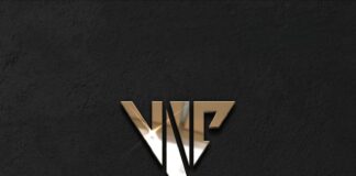 VIP NUMBERS CLUB Defines Excellence