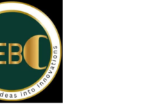 Meera Shakki Murugan: Empowering Global Business Expansion Through Strategic Incorporation and Business Development Expertise