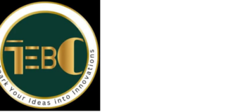 Meera Shakki Murugan: Empowering Global Business Expansion Through Strategic Incorporation and Business Development Expertise