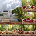 Dr. Kabi Herbals Solar Dehydrated Powders
