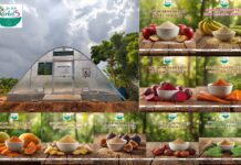 Dr. Kabi Herbals Solar Dehydrated Powders