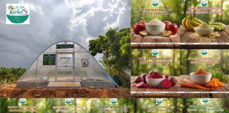 Dr. Kabi Herbals Solar Dehydrated Powders