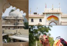 Beyond the Dunes: Busting Myths and Tasting the Real Rajasthan