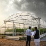Policy Predictability Can Support Climate-Resilient Agriculture