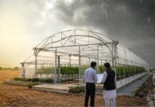 Policy Predictability Can Support Climate-Resilient Agriculture